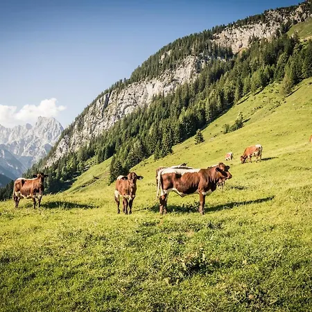 Im Gaestehaus Sieger-brandner * Ramsau bei Berchtesgaden