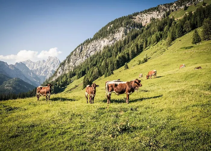 Im Gaestehaus Sieger-brandner * Ramsau bei Berchtesgaden